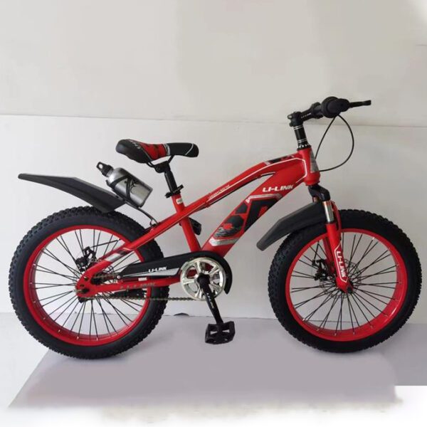 Junior Mountain Bike